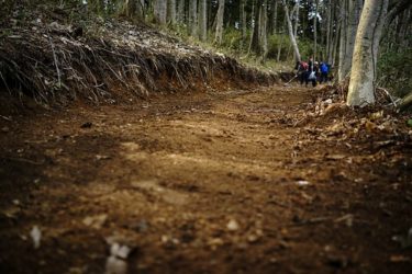 森林整備ボランティア【share the trail】