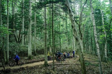 森林整備ボランティア【share the trail vol.3】