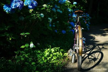 蝦夷梅雨の終わりを知らせてくれたのは紫陽花の花【本所のフェンダー】を取付けた話