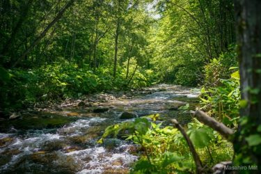 【オロウエン大滝キャンプ場】へ行ってきた話