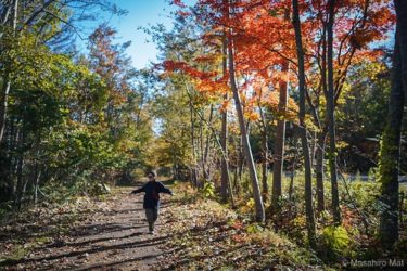 【苔の調査】2018秋