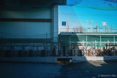 久しぶりにバットを振った話