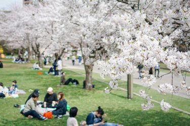 サムズバイク主催【お花見ツーリング】に行ってきた話