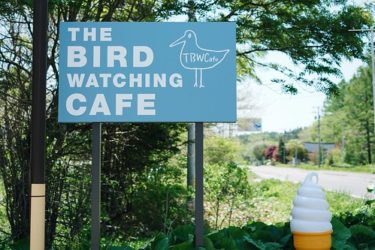 空前の喫茶ブーム到来【The Bird Watching Cafe】