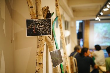 山内麻由美写真展【ヤマの記録2013-2019】