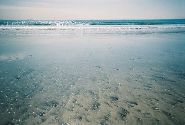 空前のフィルムカメラブーム到来【RICOH GR10】