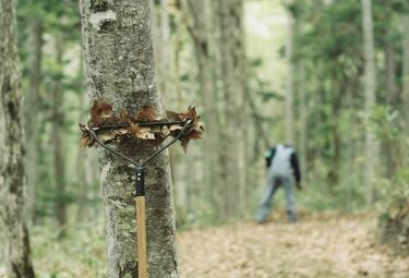 森林整備ボランティア【share the trail vol.12】