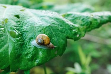 全然秘境じゃない！？【赤井川村落合ダム2020】