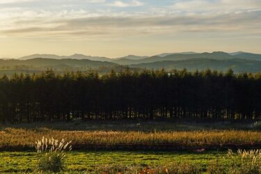 近況と久しぶりの東京出張