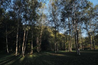 また来年！【オロウエン大滝キャンプ場】